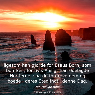 Picture 03 - 5 Mosebog 2:22 DA1871 - ligesom han gjorde for Esaus Børn, som bo i - Bible Verse Picture