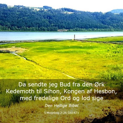 Picture 03 - 5 Mosebog 2:26 DA1871 - Da sendte jeg Bud fra den Ørk Kedemoth til - Bible Verse Picture