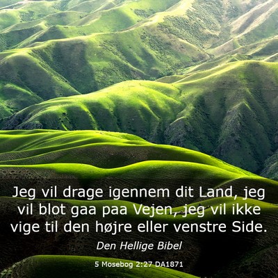 Picture 03 - 5 Mosebog 2:27 DA1871 - Jeg vil drage igennem dit Land, jeg vil blot gaa - Bible Verse Picture