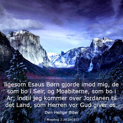 Picture 03 - 5 Mosebog 2:29 DA1871 - ligesom Esaus Børn gjorde imod mig, de som bo i - Bible Verse Picture