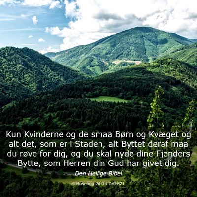 Picture 03 - 5 Mosebog 20:14 DA1871 - Kun Kvinderne og de smaa Børn og Kvæget og alt - Bible Verse Picture