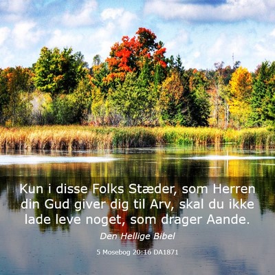 Picture 03 - 5 Mosebog 20:16 DA1871 - Kun i disse Folks Stæder, som Herren din Gud - Bible Verse Picture