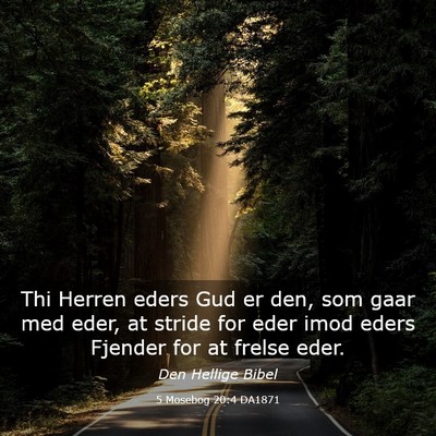 Picture 03 - 5 Mosebog 20:4 DA1871 - Thi Herren eders Gud er den, som gaar med eder, - Bible Verse Picture