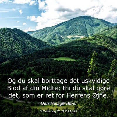Picture 03 - 5 Mosebog 21:9 DA1871 - Og du skal borttage det uskyldige Blod af din - Bible Verse Picture