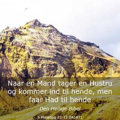 Picture 03 - 5 Mosebog 22:13 DA1871 - Naar en Mand tager en Hustru og kommer ind til - Bible Verse Picture