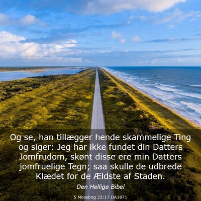 Picture 03 - 5 Mosebog 22:17 DA1871 - Og se, han tillægger hende skammelige Ting og - Bible Verse Picture