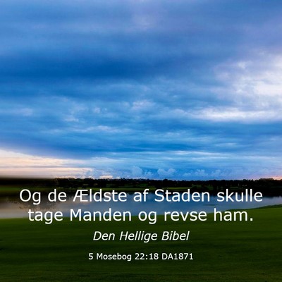 Picture 03 - 5 Mosebog 22:18 DA1871 - Og de Ældste af Staden skulle tage Manden og - Bible Verse Picture