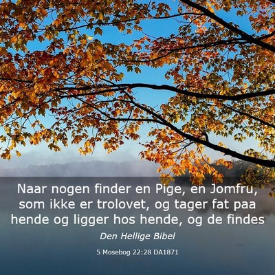 Picture 03 - 5 Mosebog 22:28 DA1871 - Naar nogen finder en Pige, en Jomfru, som ikke er - Bible Verse Picture