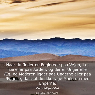 Picture 03 - 5 Mosebog 22:6 DA1871 - Naar du finder en Fuglerede paa Vejen, i et Træ - Bible Verse Picture