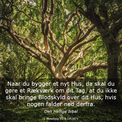Picture 03 - 5 Mosebog 22:8 DA1871 - Naar du bygger et nyt Hus, da skal du gøre et - Bible Verse Picture