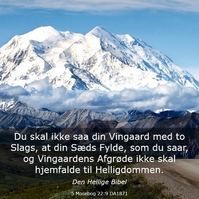 Picture 03 - 5 Mosebog 22:9 DA1871 - Du skal ikke saa din Vingaard med to Slags, at - Bible Verse Picture