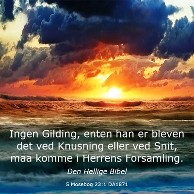Picture 03 - 5 Mosebog 23:1 DA1871 - Ingen Gilding, enten han er bleven det ved - Bible Verse Picture