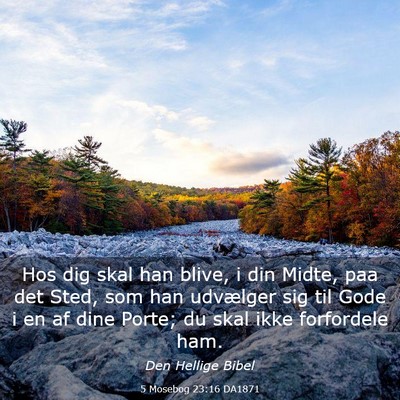 Picture 03 - 5 Mosebog 23:16 DA1871 - Hos dig skal han blive, i din Midte, paa det - Bible Verse Picture