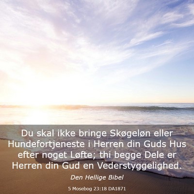 Picture 03 - 5 Mosebog 23:18 DA1871 - Du skal ikke bringe Skøgeløn eller - Bible Verse Picture