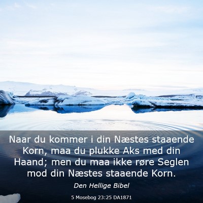 Picture 03 - 5 Mosebog 23:25 DA1871 - Naar du kommer i din Næstes staaende Korn, maa - Bible Verse Picture