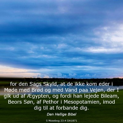 Picture 03 - 5 Mosebog 23:4 DA1871 - for den Sags Skyld, at de ikke kom eder i Møde - Bible Verse Picture