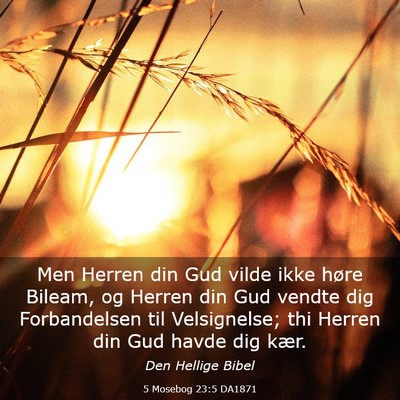 Picture 03 - 5 Mosebog 23:5 DA1871 - Men Herren din Gud vilde ikke høre Bileam, og - Bible Verse Picture