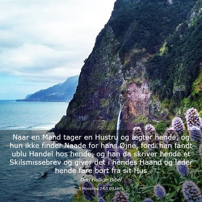 Picture 03 - 5 Mosebog 24:1 DA1871 - Naar en Mand tager en Hustru og ægter hende, og - Bible Verse Picture