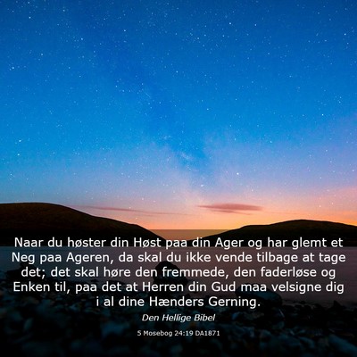 Picture 03 - 5 Mosebog 24:19 DA1871 - Naar du høster din Høst paa din Ager og har - Bible Verse Picture
