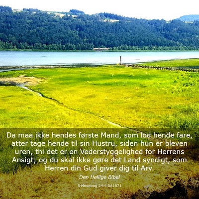Picture 03 - 5 Mosebog 24:4 DA1871 - Da maa ikke hendes første Mand, som lod hende - Bible Verse Picture