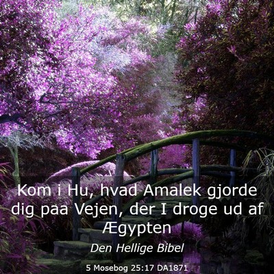 Picture 03 - 5 Mosebog 25:17 DA1871 - Kom i Hu, hvad Amalek gjorde dig paa Vejen, der I - Bible Verse Picture