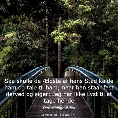 Picture 03 - 5 Mosebog 25:8 DA1871 - Saa skulle de Ældste af hans Stad kalde ham og - Bible Verse Picture