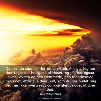 Picture 03 - 5 Mosebog 26:13 DA1871 - Da skal du sige for Herren din Guds Ansigt: Jeg - Bible Verse Picture