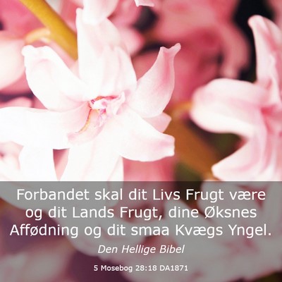 Picture 03 - 5 Mosebog 28:18 DA1871 - Forbandet skal dit Livs Frugt være og dit Lands - Bible Verse Picture