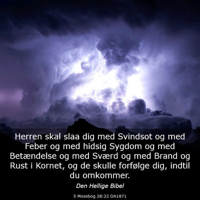 Picture 03 - 5 Mosebog 28:22 DA1871 - Herren skal slaa dig med Svindsot og med Feber og - Bible Verse Picture