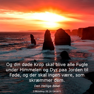 Picture 03 - 5 Mosebog 28:26 DA1871 - Og din døde Krop skal blive alle Fugle under - Bible Verse Picture
