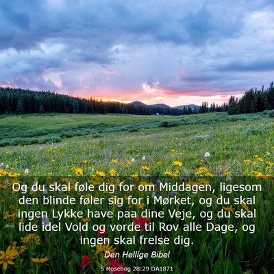 Picture 03 - 5 Mosebog 28:29 DA1871 - Og du skal føle dig for om Middagen, ligesom den - Bible Verse Picture