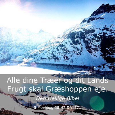 Picture 03 - 5 Mosebog 28:42 DA1871 - Alle dine Træer og dit Lands Frugt skal - Bible Verse Picture