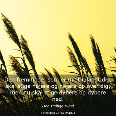 Picture 03 - 5 Mosebog 28:43 DA1871 - Den fremmede, som er midt iblandt dig, skal stige - Bible Verse Picture