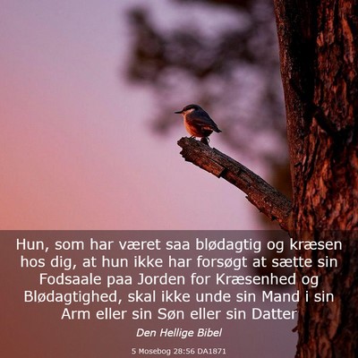 Picture 03 - 5 Mosebog 28:56 DA1871 - Hun, som har været saa blødagtig og kræsen hos - Bible Verse Picture
