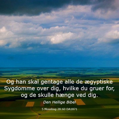 Picture 03 - 5 Mosebog 28:60 DA1871 - Og han skal gentage alle de ægyptiske Sygdomme - Bible Verse Picture