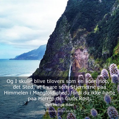 Picture 03 - 5 Mosebog 28:62 DA1871 - Og I skulle blive tilovers som en liden Hob, i - Bible Verse Picture