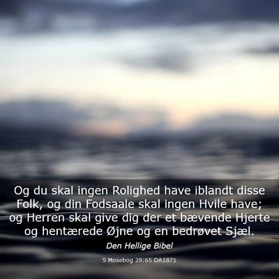Picture 03 - 5 Mosebog 28:65 DA1871 - Og du skal ingen Rolighed have iblandt disse - Bible Verse Picture
