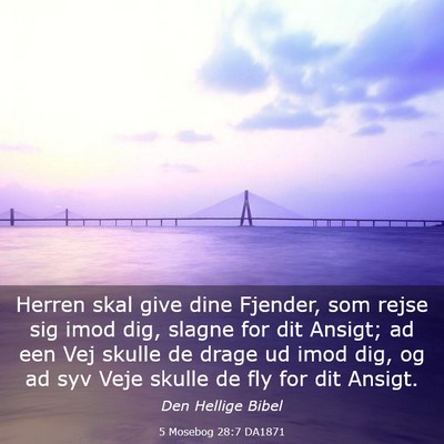 Picture 03 - 5 Mosebog 28:7 DA1871 - Herren skal give dine Fjender, som rejse sig imod - Bible Verse Picture