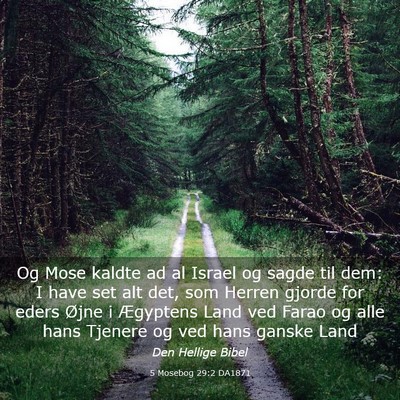 Picture 03 - 5 Mosebog 29:2 DA1871 - Og Mose kaldte ad al Israel og sagde til dem: I - Bible Verse Picture