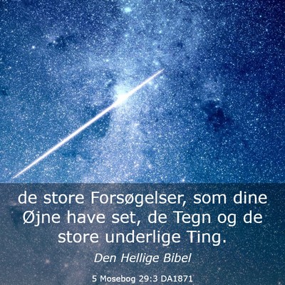 Picture 03 - 5 Mosebog 29:3 DA1871 - de store Forsøgelser, som dine Øjne have set, - Bible Verse Picture
