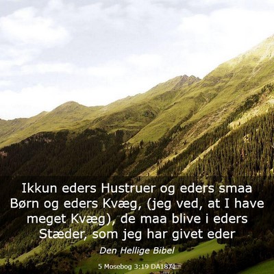 Picture 03 - 5 Mosebog 3:19 DA1871 - Ikkun eders Hustruer og eders smaa Børn og eders - Bible Verse Picture