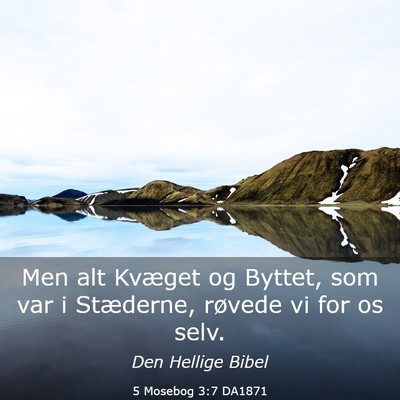 Picture 03 - 5 Mosebog 3:7 DA1871 - Men alt Kvæget og Byttet, som var i Stæderne, - Bible Verse Picture
