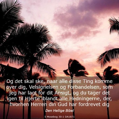 Picture 03 - 5 Mosebog 30:1 DA1871 - Og det skal ske, naar alle disse Ting komme over - Bible Verse Picture