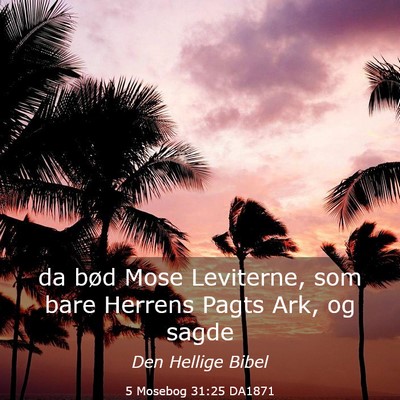 Picture 03 - 5 Mosebog 31:25 DA1871 - da bød Mose Leviterne, som bare Herrens Pagts - Bible Verse Picture