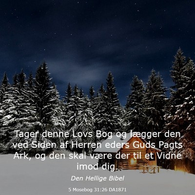 Picture 03 - 5 Mosebog 31:26 DA1871 - Tager denne Lovs Bog og lægger den ved Siden af - Bible Verse Picture