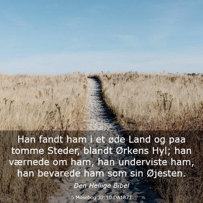 Picture 03 - 5 Mosebog 32:10 DA1871 - Han fandt ham i et øde Land og paa tomme Steder, - Bible Verse Picture