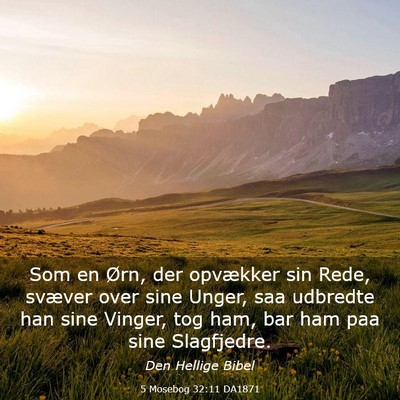 Picture 03 - 5 Mosebog 32:11 DA1871 - Som en Ørn, der opvækker sin Rede, svæver over - Bible Verse Picture