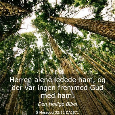 Picture 03 - 5 Mosebog 32:12 DA1871 - Herren alene ledede ham, og der var ingen fremmed - Bible Verse Picture