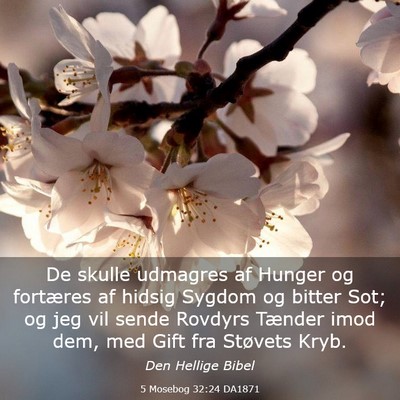 Picture 03 - 5 Mosebog 32:24 DA1871 - De skulle udmagres af Hunger og fortæres af - Bible Verse Picture