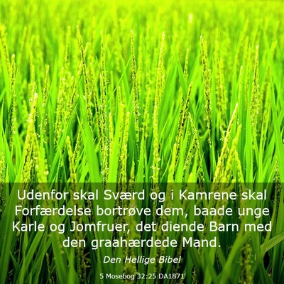 Picture 03 - 5 Mosebog 32:25 DA1871 - Udenfor skal Sværd og i Kamrene skal - Bible Verse Picture